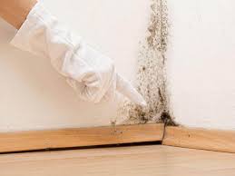 Mold Remediation for Vacation Homes in Sanford, ME